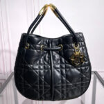 Christian Dior Medium Dior Nolita Bag Black